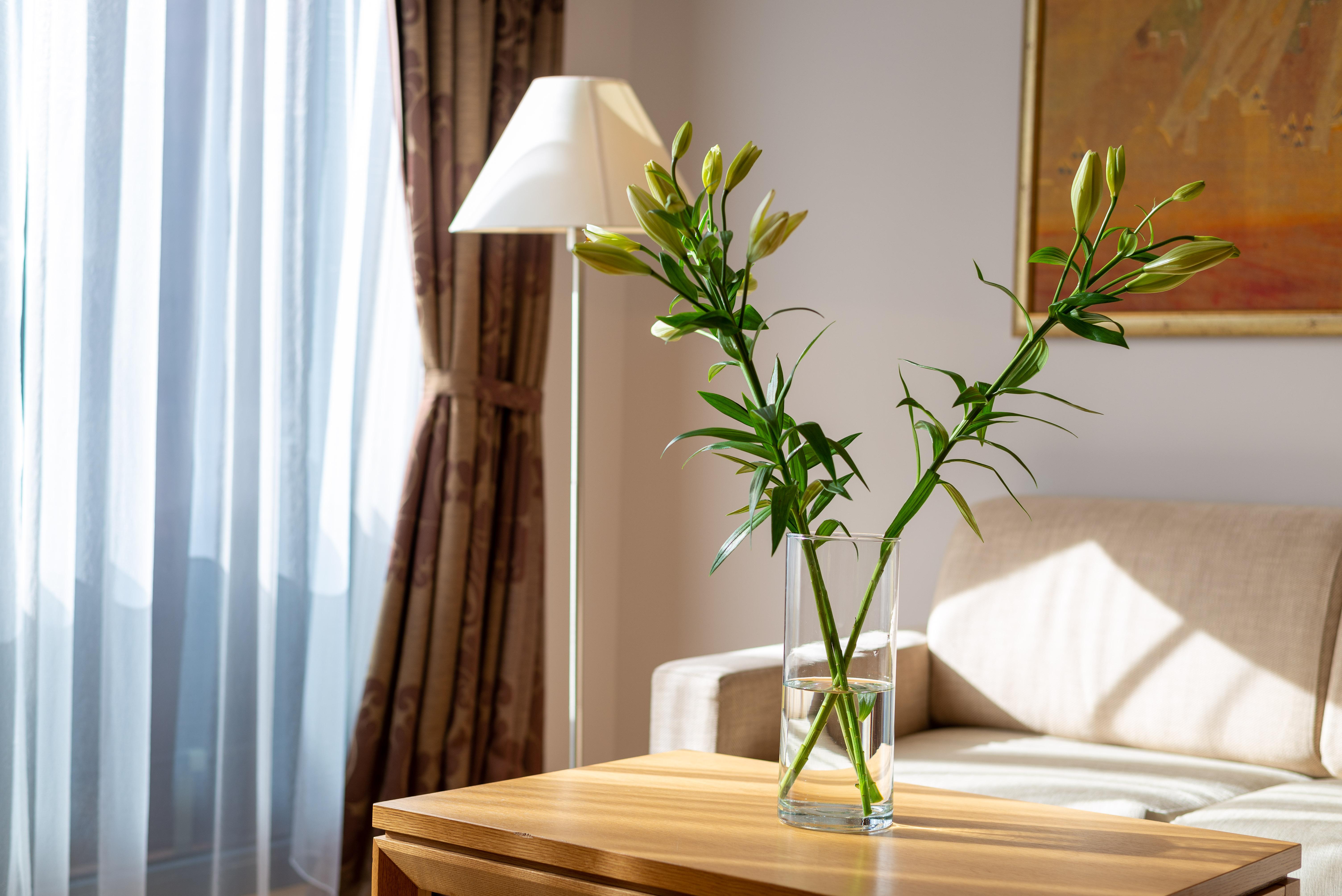Euterpe Hotel Κλαϊπέντα Εξωτερικό φωτογραφία